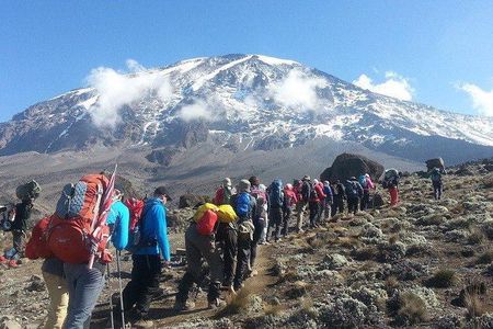 7 Days Mount Kilimanjaro Climb Lemosho Route