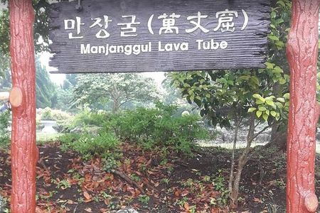 Jeju Island Private Half day Transport : East attractions only