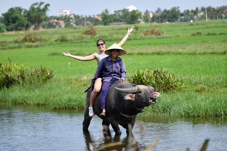Buffalo Riding, Basket Boat Tour And Cooking Class
