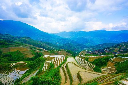 Mini Group: Longji Rice Terraced Fields and Minority Villages Tour