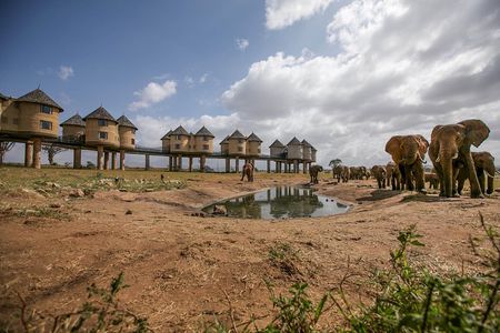 2-Day Taita Hills Safari - From Mombasa