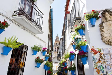 Mosque-Cathedral, Alcazar & Jewish Quarter with Tickets 