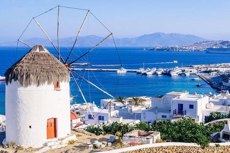Sightseeing with a Mykonian(Small Group or Private)