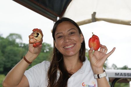 Puerto Limon Highlights. 6 in 1 combo Tour. Shore Excursion