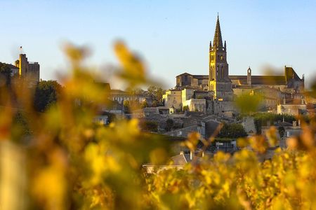 Saint Emilion Half-Day Trip with Wine Tasting & Winery Visit from Bordeaux