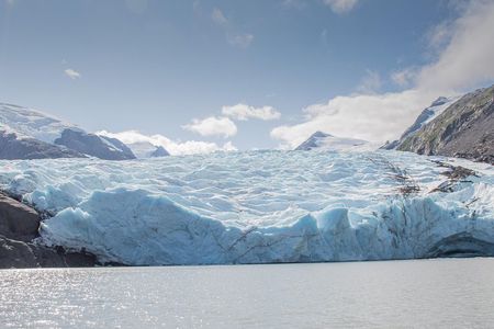 Glaciers and Wildlife: Super Scenic Day Tour from Anchorage