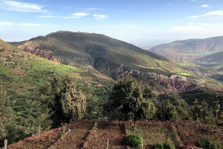Imlil Guided day trip