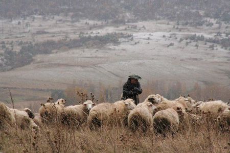 Private Tour to Kazbegi from Tbilisi