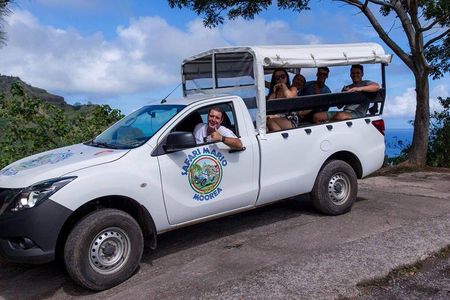 Private Tour Moorea 4WD - Belvedere Pineapple Farm, Magic Mount.
