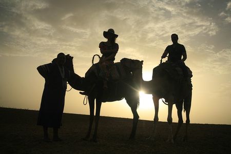 Camel ride and magical dinner in Agafay desert