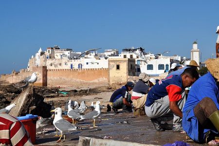 Essaouira Mogador Journey From Marrakech