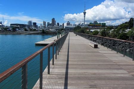 Auckland Tour City Highlights Half Day