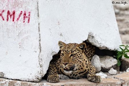 4-Day Etosha And Swakopmund Accommodated Adventure from Windhoek