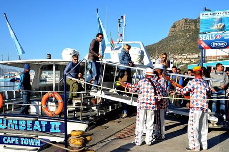 Cape of Good Hope & Penguin small group tour from Cape Town