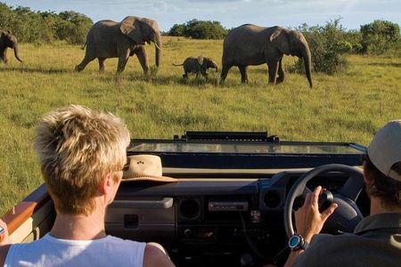 4 Day Garden Route Luxe Selection Micro Group Tour from Cape Town