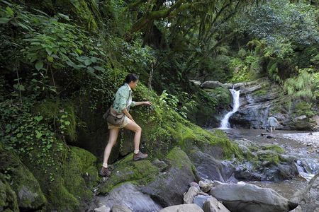 Yungas Half-Day Tour from Tucuman