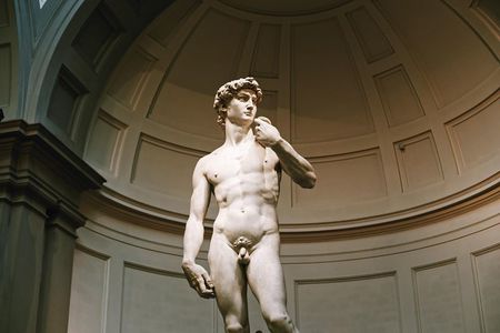 Florence City Center Exclusive Guided Tour w/ Accademia & David