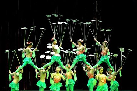 Beijing Roast Duck Banquet and Acrobatics Show with VIP Seats Evening Tour