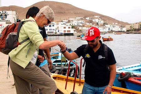 Marine wildlife observation in a fishing village