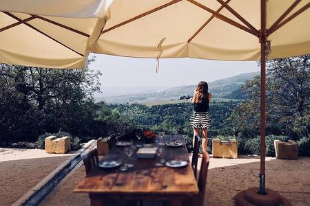 Discover Valpolicella Vineyards and Wine Tasting Experience