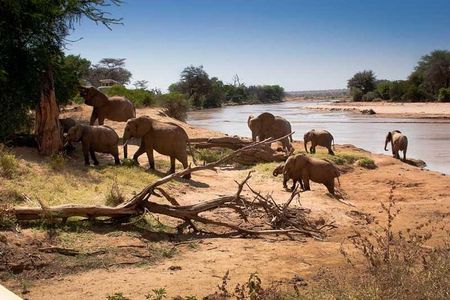 Tarangire National Park Day Trip