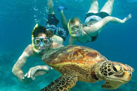Watamu Marine Park & Sudi Island Mangrove Forest Canoe Ride.With sea food lunch