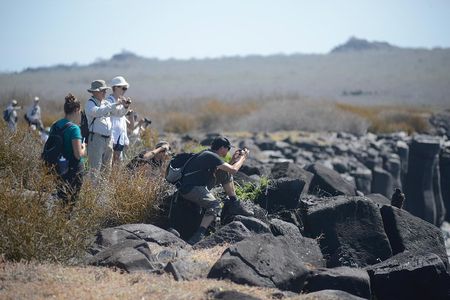 4-Day Galapagos Tour: Santa Cruz & 2 Uninhabited Islands