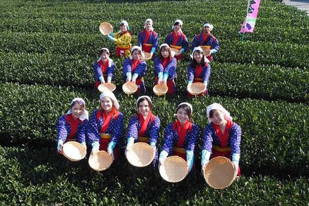 Experience Seasonal Green Tea Picking in Sayama and Nostalgic Walk in Kawagoe!