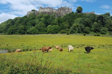Stirling Castle, Trossachs, Loch Lomond and Whisky Tour