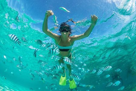 Explore Coral & Raya Islands – Speedboat Day Trip from Phuket