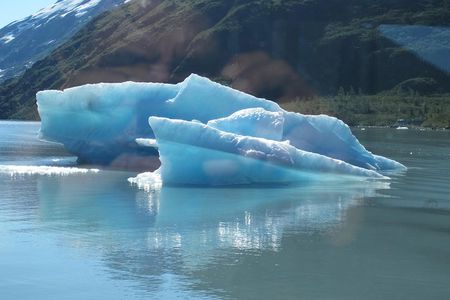 Portage Glacier Cruise and Wildlife Explorer Tour