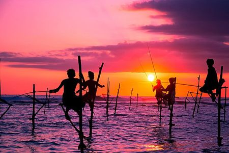 From Colombo/ Negambo - Southern SriLanka Day Trip