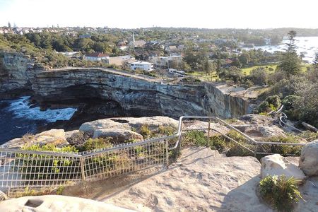 Morning or Afternoon Highlights Tour in Sydney with a Local Guide
