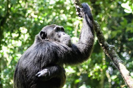 Small group Adventure Holiday- 7 Days