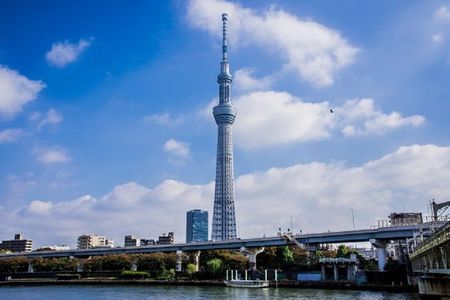 Freely set up plans Guided Private Tours in Tokyo
