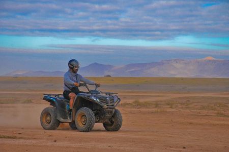 Half-Day Palm grove desert Quad & Camel Tour