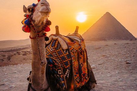 Cairo tour/ Day tour to Giza Pyramids,Egyptian Museum,Islamic or Coptic Cairo 