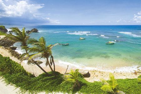 Barbados Island Tour with Lunch and Wildlife Sanctuary