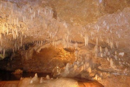 Harrison's Cave Tour from Bridgetown