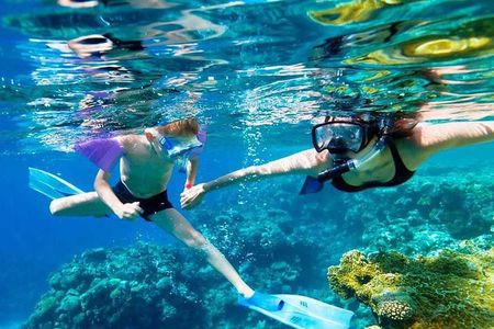 SkyReef Cozumel Snorkel & Tequila Tasting