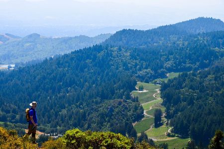 Wine & Wellness Tour in Napa Valley