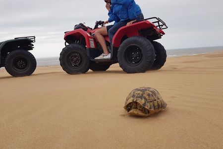 Essaouira: Pleasant Quad tour (free transfer)