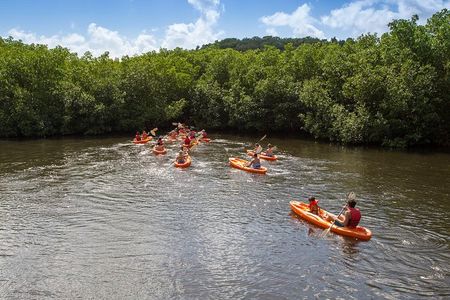 SoCoHo Eco Half Day - Mangrove Kayak & Reef Snorkeling