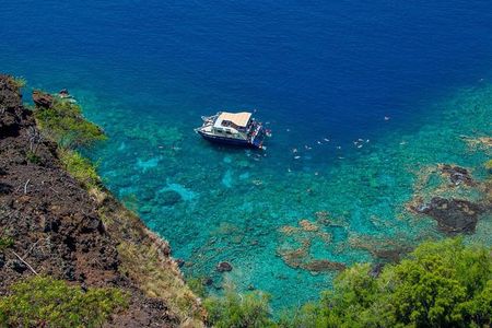 Kona’s Best Morning Snorkel: Captain Cook & Kealakekua Bay