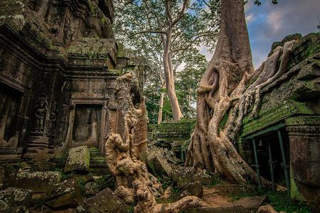 1-Day Amazing Angkor Wat Tour with Sunset & All Interesting Major Temples