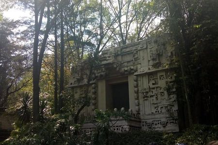 Anthropology Museum: 10 Masterpieces Tour