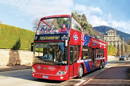 Hobart Hop-On Hop-Off Bus & kunanyi/Mt Wellington Tour