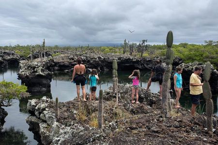 5-Day Guided Galapagos & Los Tuneles Tour