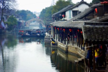 Private Wuzhen and Xitang Amazing Day Tour from Shanghai 