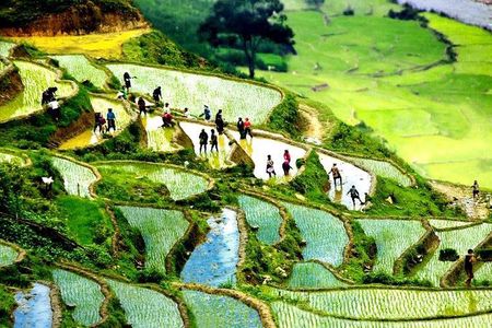 Sapa 2D1N All Included (Bus & Homestay)
